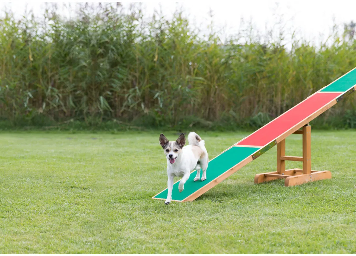 AGILITY houpačka/lávka 300x54x34cm max.do 80kg TRIXIE