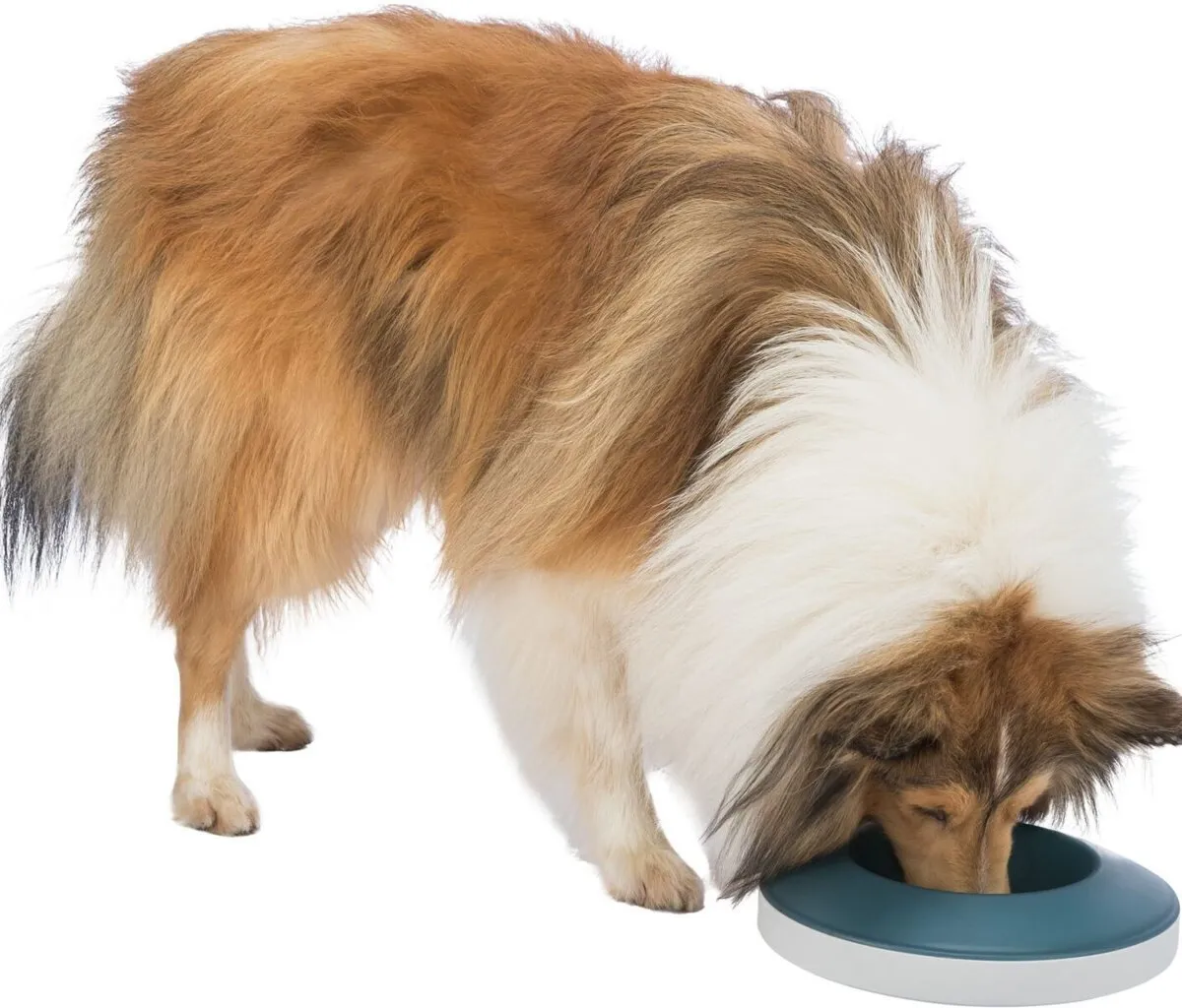 Rocking Bowl, houpací miska k pomalému krmení, 0,5 l/ø 23 cm, plastic, šedá/modrá