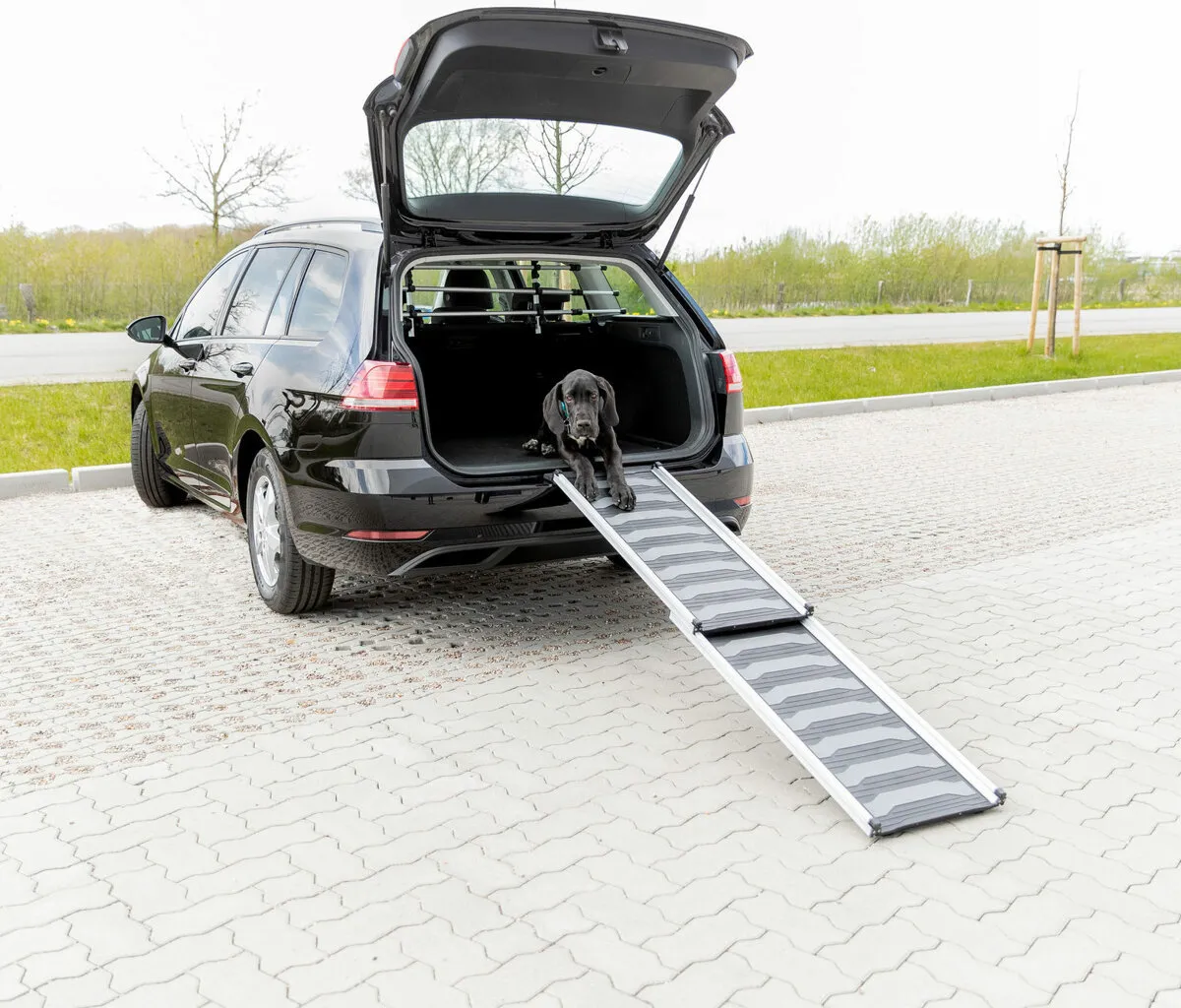 PetWalk teleskopická lávka, 40x120-170cm, 6,2kg, černá/šedá - DOPRODEJ