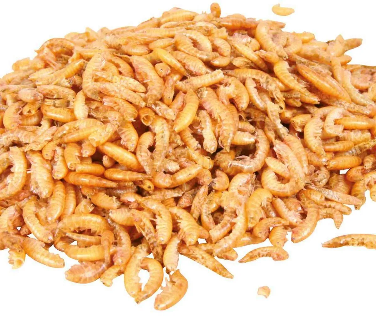 Gammarus přírodní krmivo pro vodní želvy 120 g/1000 ml - DOPRODEJ