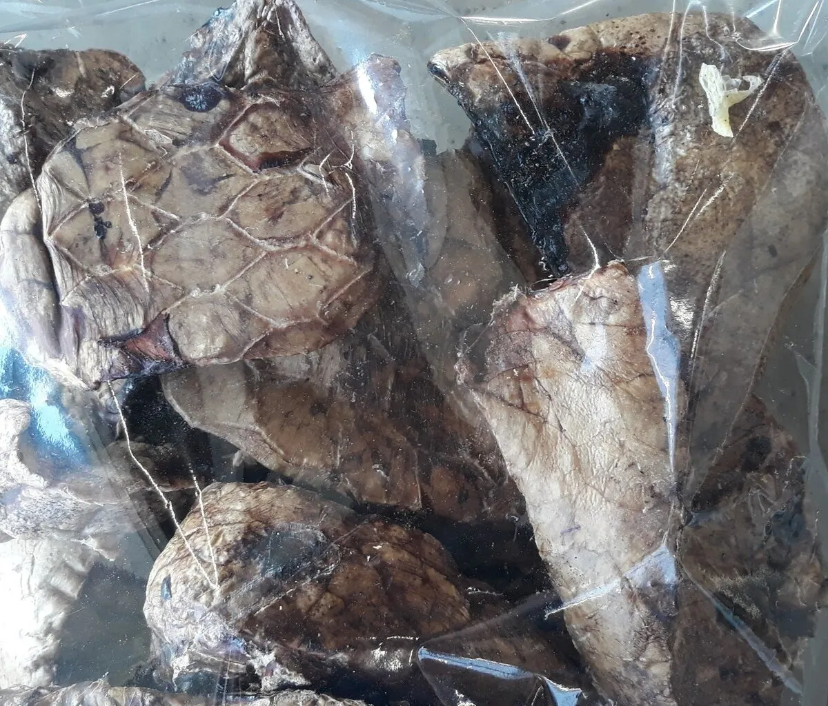 Vepřové plíce 300g