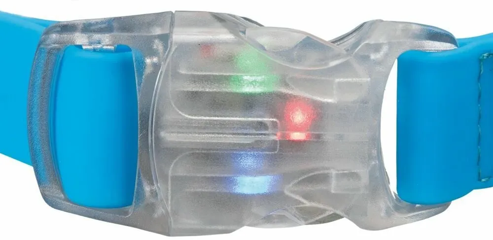 Neonové vodítko se svítící karabinou S-L 1,2-1,8m/25mm - DOPRODEJ (RP 2,10 Kč)