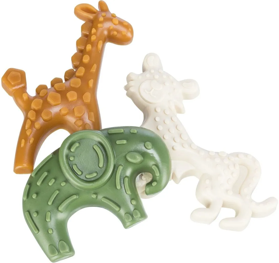 Veggie Safari