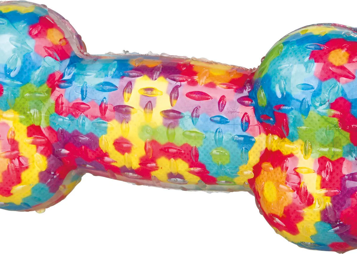 Házecí různobarevná kost se zvukem, termoplastická guma (TPR) 17 cm
