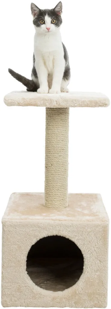 Škrábadlo ZAMORA 61cm - béžové