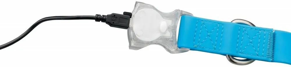Neonové vodítko se svítící karabinou S-L 1,2-1,8m/25mm - DOPRODEJ (RP 2,10 Kč)