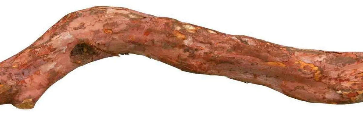 Bidýlko přírodní liána