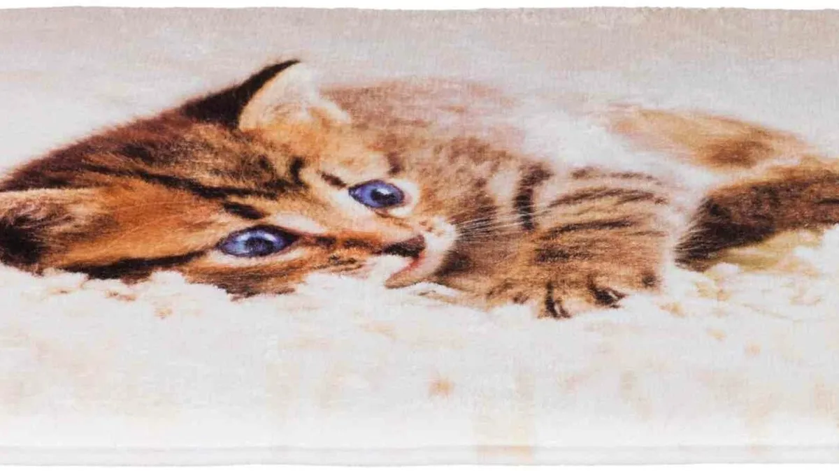 Plyšová podložka TILLY s koťátkem protiskluzová 50 x 40 cm
