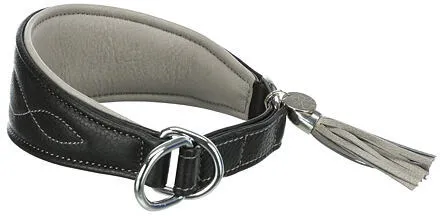 Kožený obojek ACTIVE Comfort pro chrty