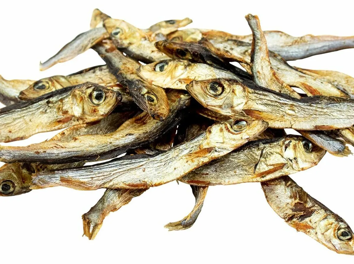 Rybičky - mořské šproty bal