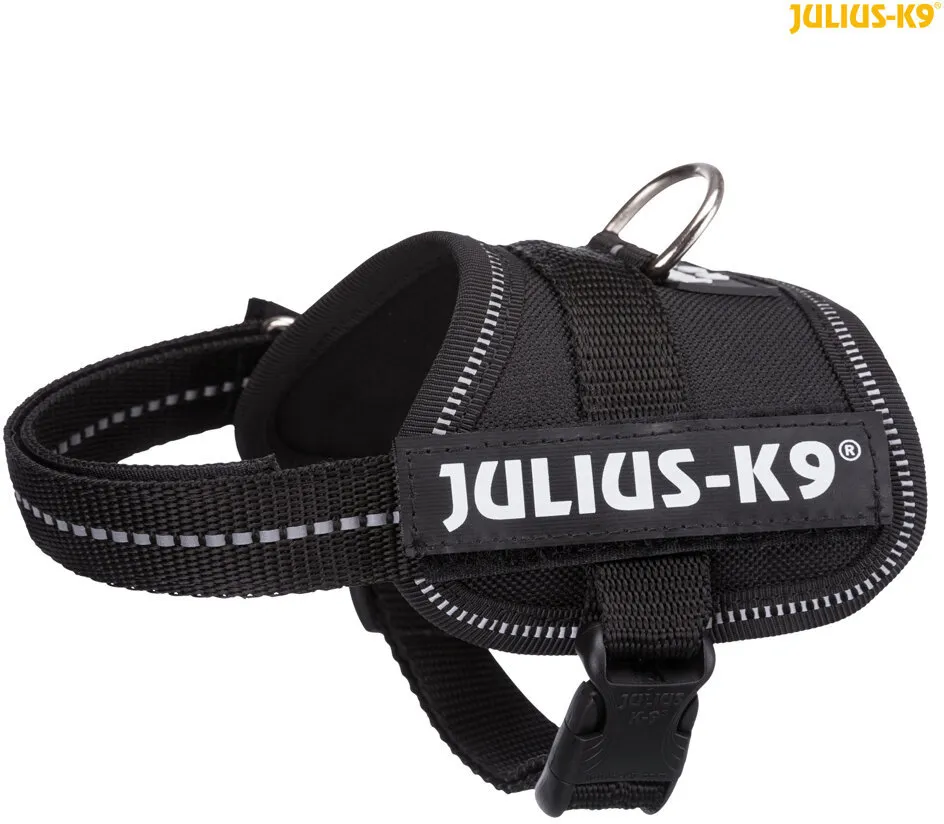 Julius-K9 silový postroj XL