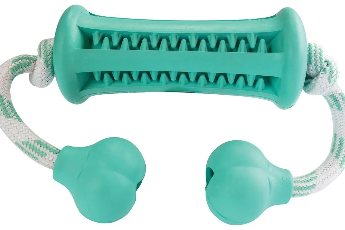 Dentální péče mátový Curler s lanem 34cm HipHop
