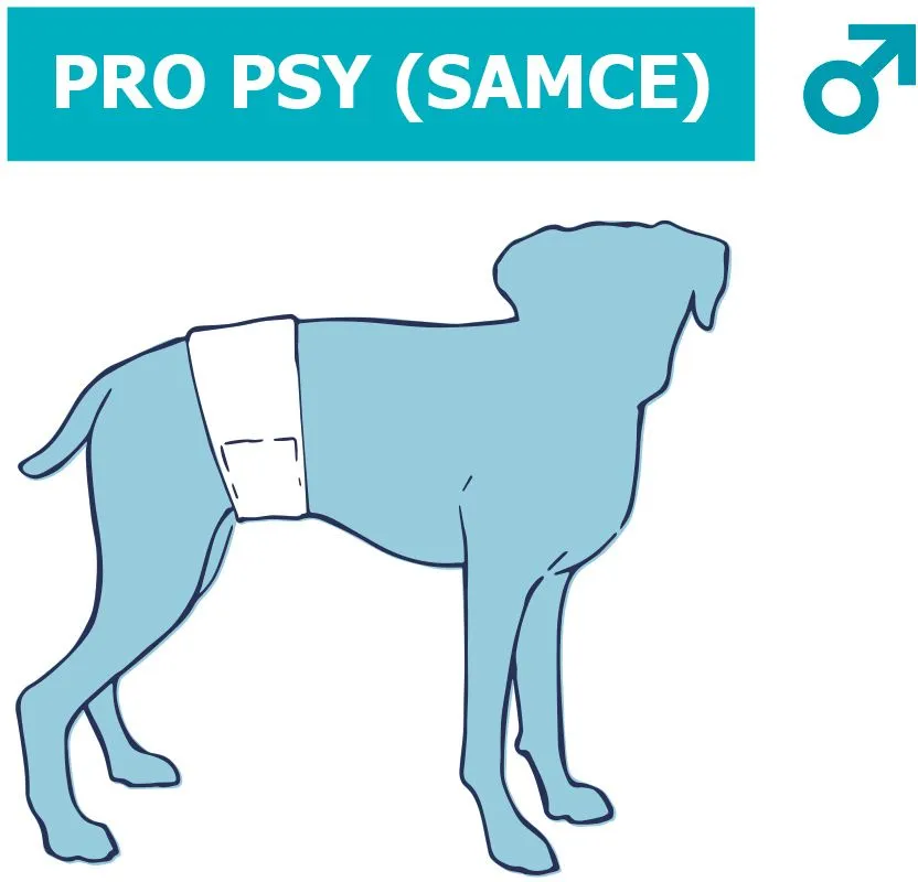 Nobby papírové pleny pro psy (12 ks)
