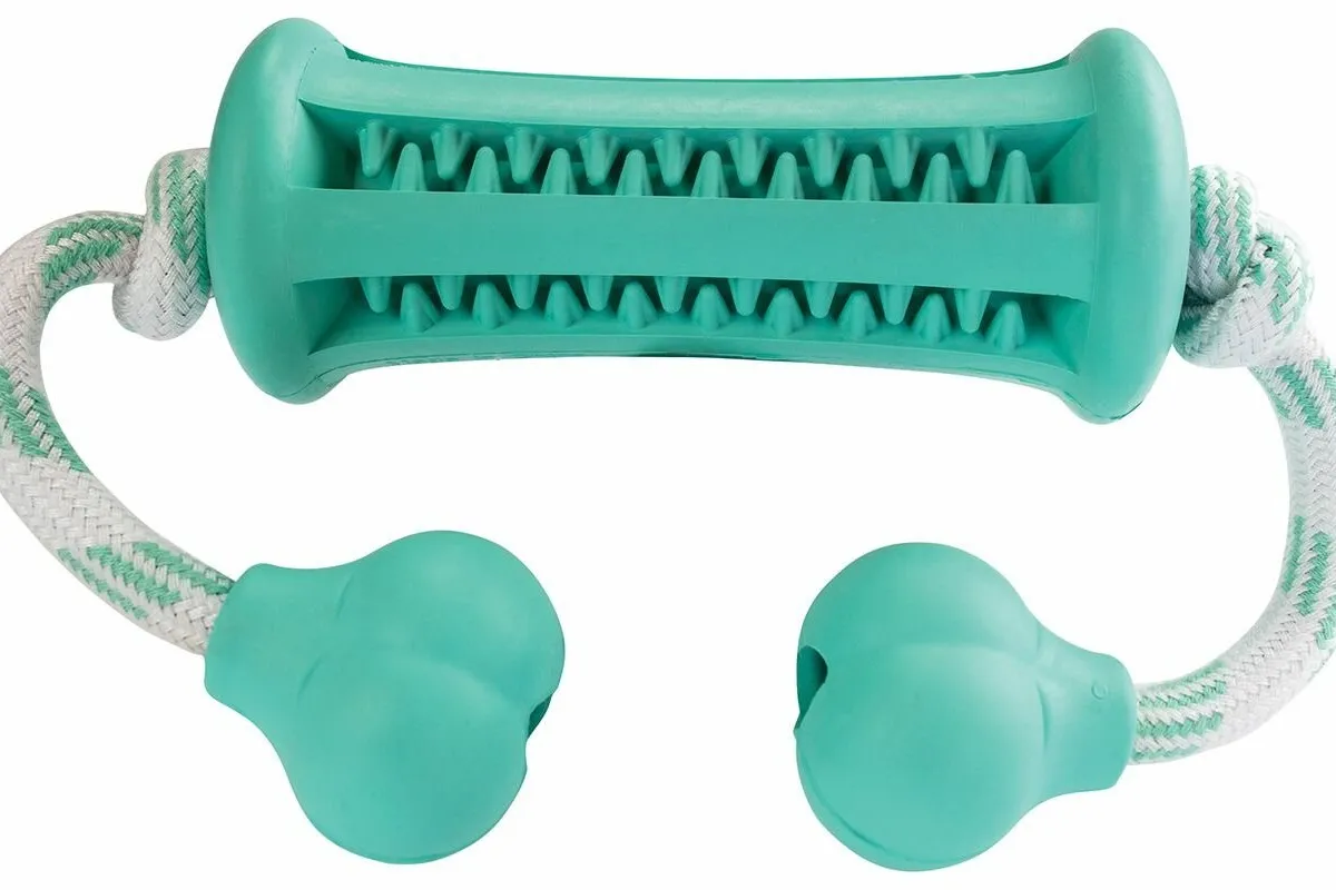Dentální péče mátový Curler s lanem 34cm HipHop