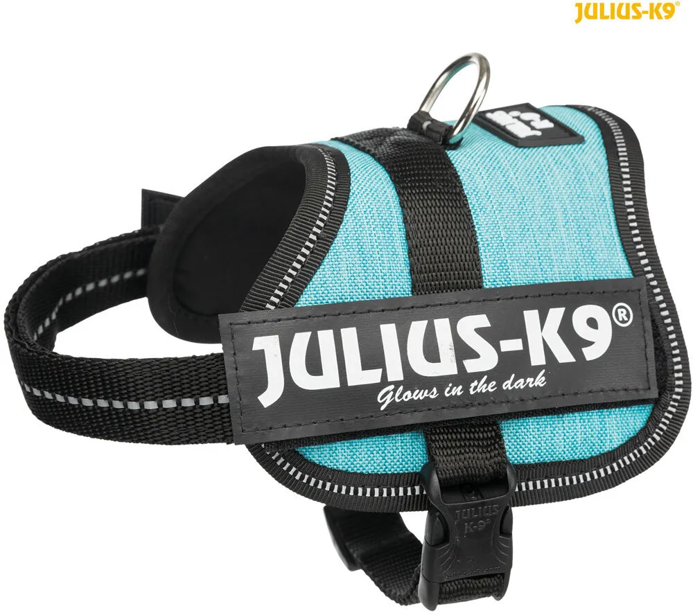 Julius-K9 silový postroj XL