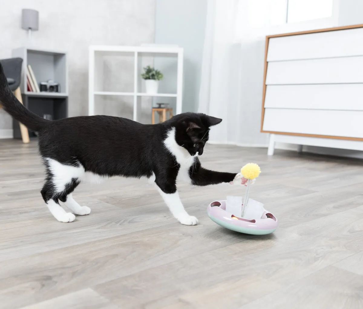 JUNIOR Snack & Play aktivní hra po koťata na pamlsky ø 18 cm