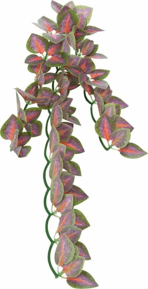 Závěsná terarijní rostlina, 20 x 50 cm, hedvábí