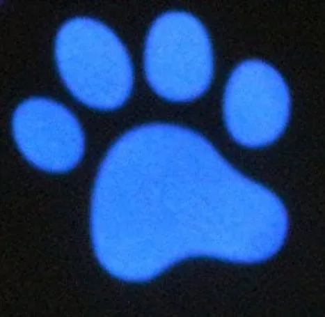 Nobby LED Pointer světelné ukazovátko