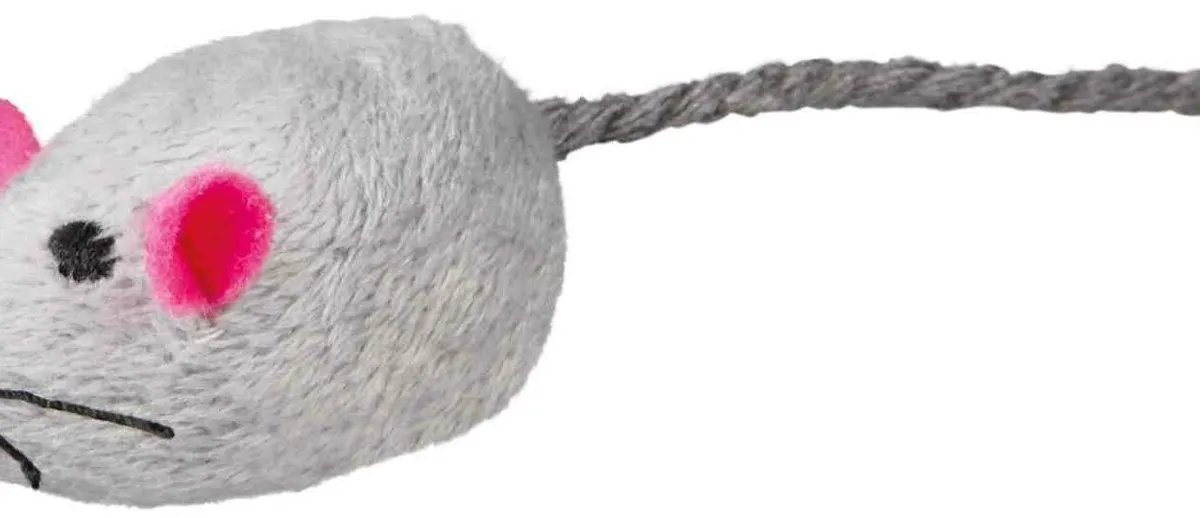 Myší škola na kartě 5cm [24ks]