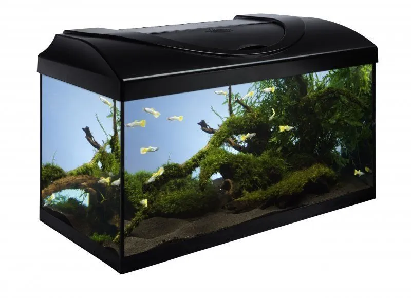 Akvarijní set 80 - černá 80x35x40 cm (RP 2,90 Kč)