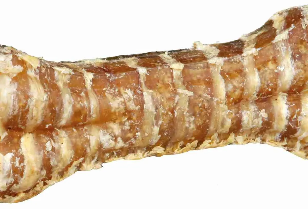 Kost ze sušené hovězí průdušnice