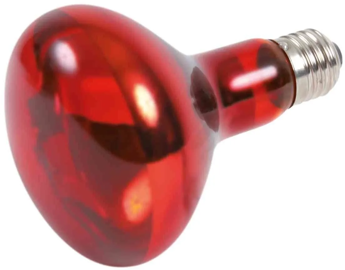 Infrared Heat Spot-Lamp red (RP 2,10 Kč)