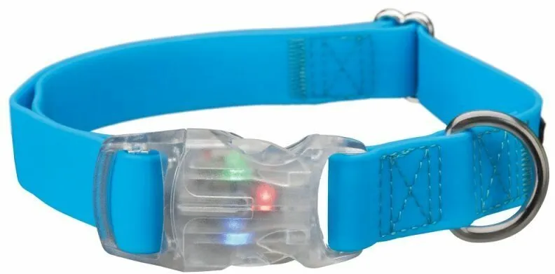 Neonový obojek se svítící karabinou L-XL 40-65 cm/25mm - DOPRODEJ (RP 2,10 Kč)