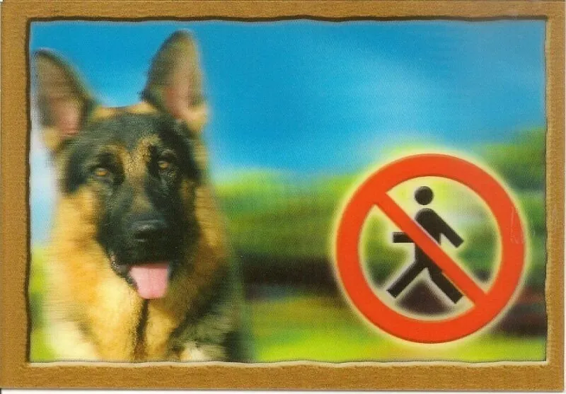 Cedulka 3D PSI