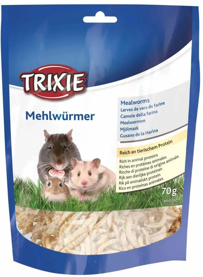 MEALWORMS, mouční červi sušení