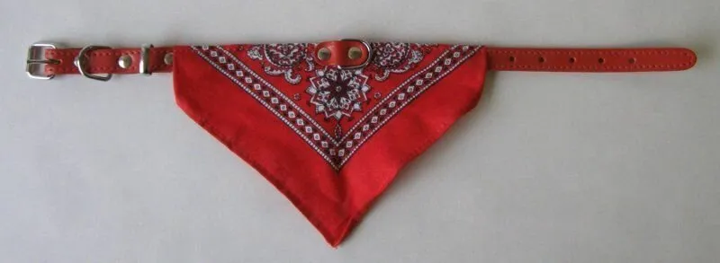 Obojek kožený (červený) se šátkem 65cm  DOPRODEJ