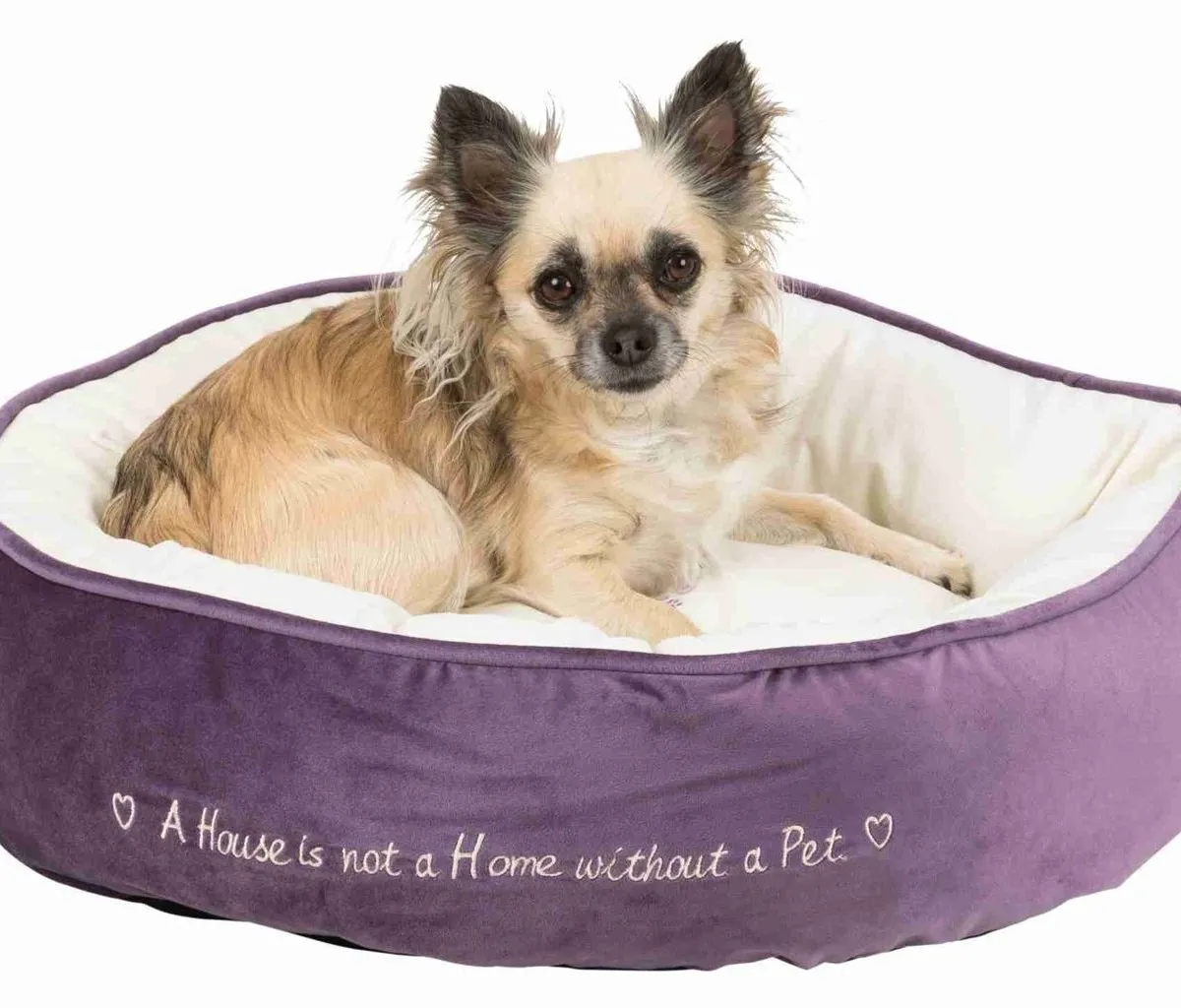 Pelech kulatý PET´S HOME 50 cm fialovo/krémový - DOPRODEJ