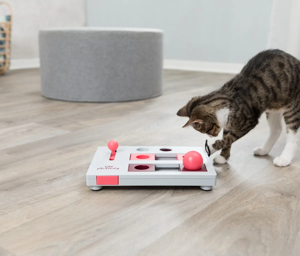 Cat Activity Brain Mover desková hra 25x20 cm