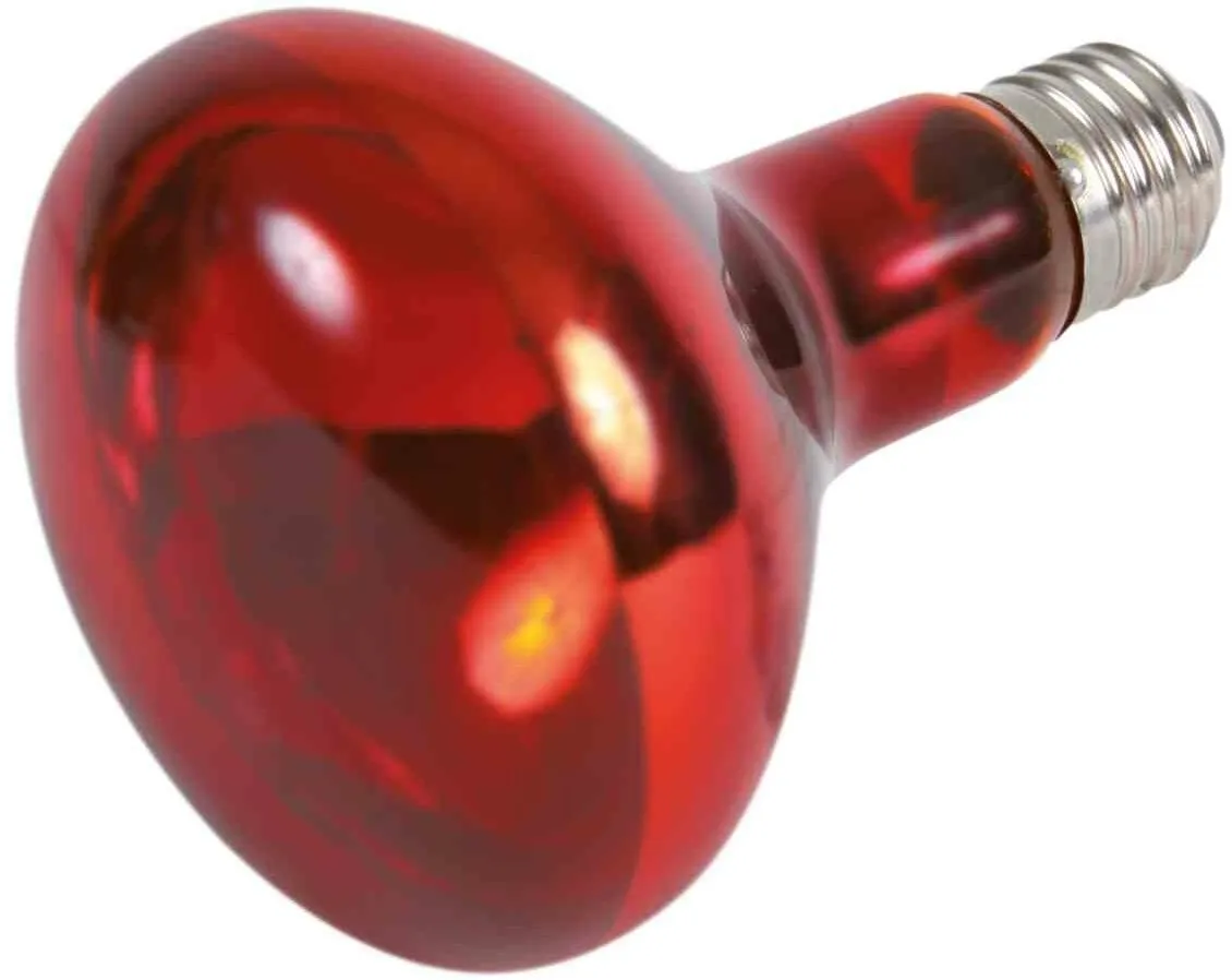 Infrared Heat Spot-Lamp red (RP 2,10 Kč)