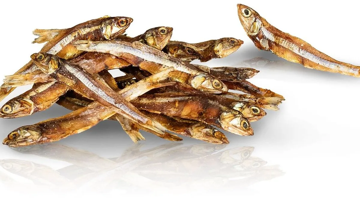 KIDDOG Sea Sunfish, mořské sluneční rybičky 250 g
