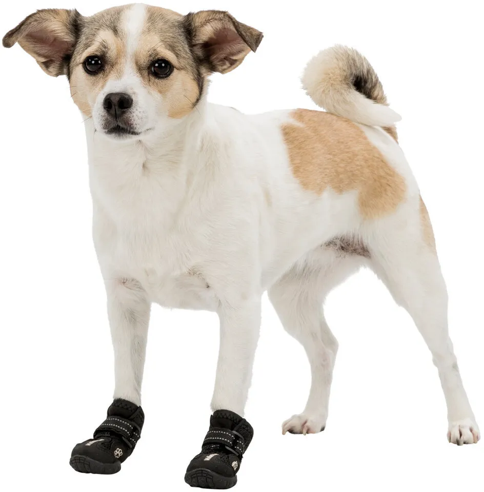 Ochranné boty WALKER ACTIVE S-M 2 ks (jack russell teriér)