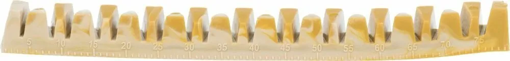 Denta Fun Veggie Jaw Bone [100ks] , kost "čelist"
